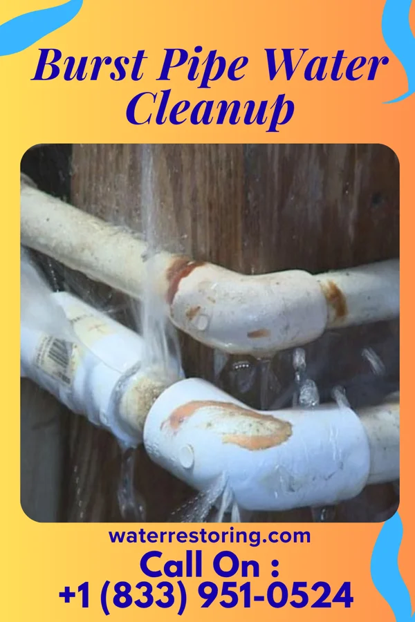 Burst Pipe Water Cleanup in Douglass, KS